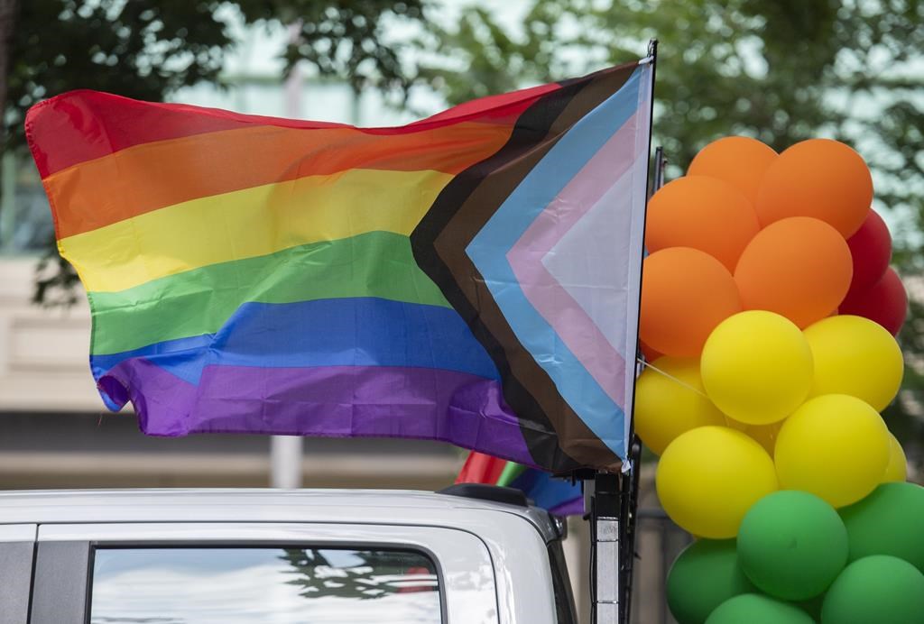 43% des étudiants LGBTQ+ du Québec estiment évoluer dans un milieu scolaire hostile
