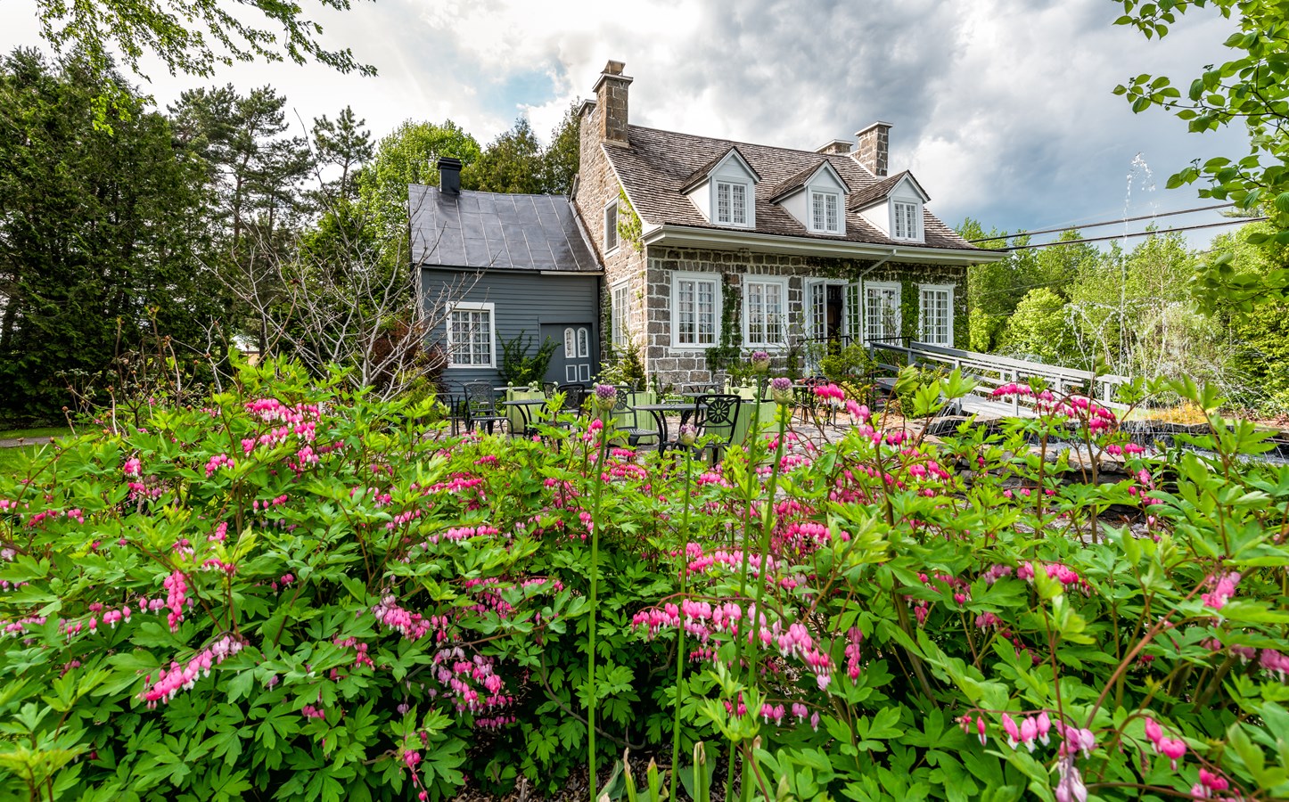 Vente de végétaux  au profit de Maison et jardins Antoine-Lacombe