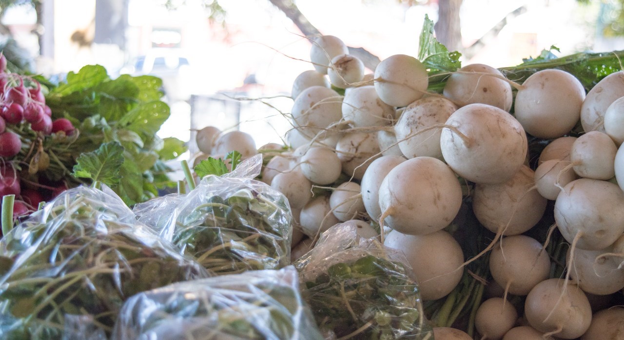 La 11e Semaine québécoise des marchés publics arrive au Bas-Saint-Laurent
