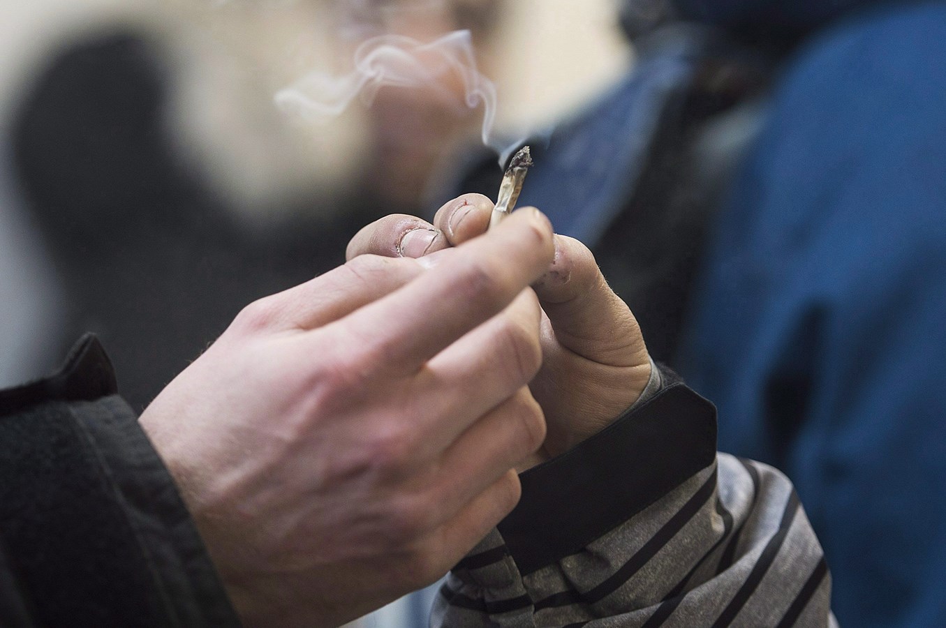 Davantage de Québécois consomment du cannabis, sauf chez les 15-17 ans