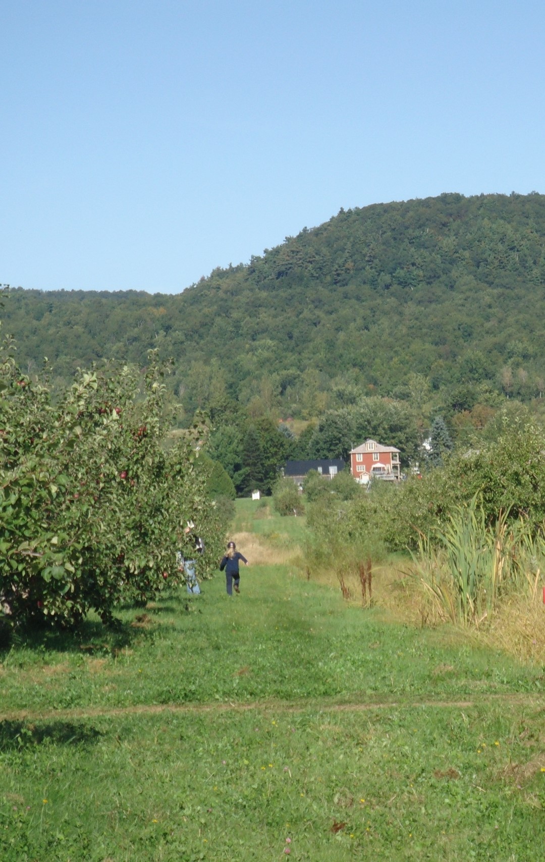 Depuis plusieurs années, La Pommeraie d’Or, à Rougemont, est un endroit renommé au sein de l’agrotourisme automnal. (Photo : Courtoisie)