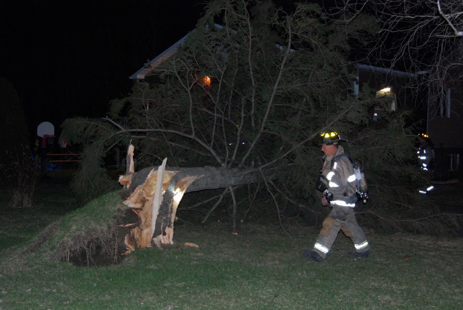Un arbre est tombé sous la force des vent jeudi soir sur la rue&nbsp;rue Bouthillier à Carignan.