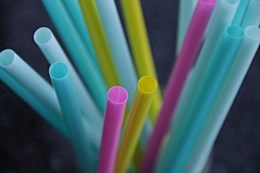 Le NPD veut interdire les plastiques à usage unique d'ici 2022