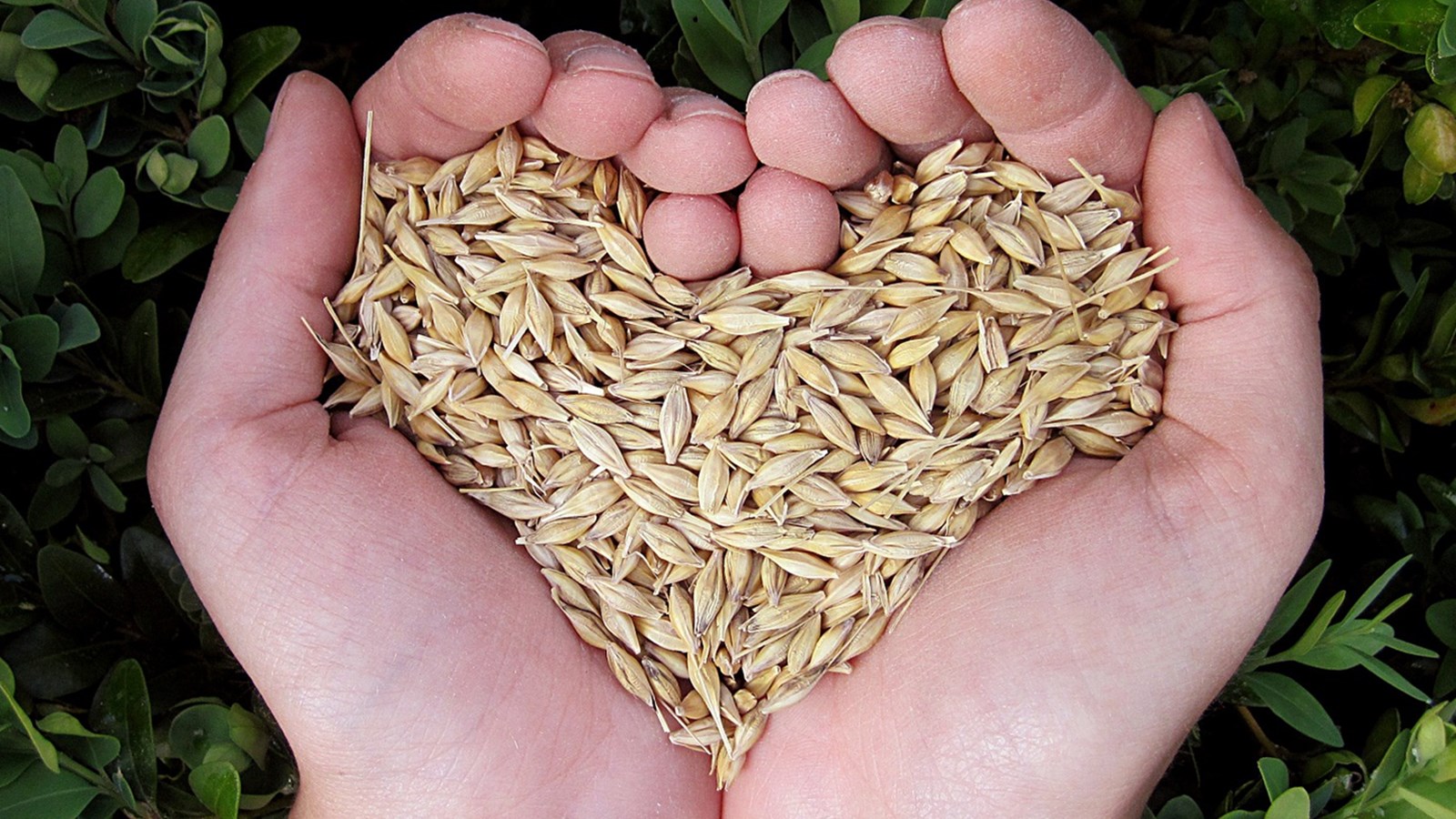 Lancement de l'initiative Donnons de l'Amour au personnel de la santé 