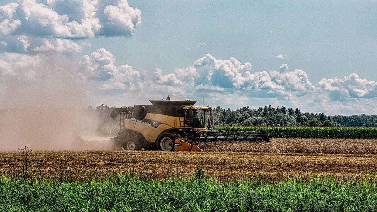 Mettre en lumière le travail innovant de plus de 50 entreprises agricoles sélectionnées en Montérégie