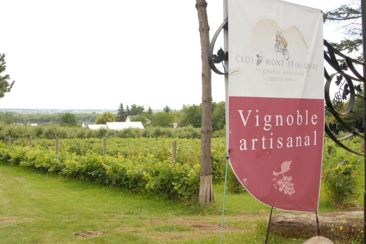 La Route des vins de la Montérégie regroupe 21 vignobles sur une distance d’environ 150 km, dont le Clos Mont-Saint-Hilaire.
