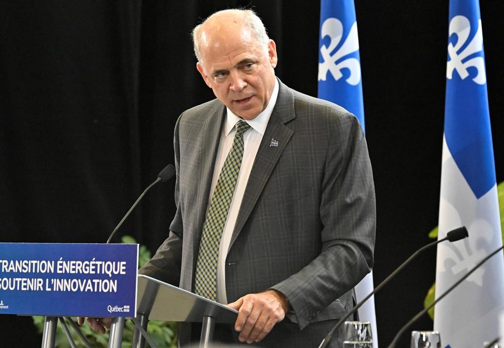 Pas de crise de l'énergie, dit Fitzgibbon, contrairement à ce que dit Skeete