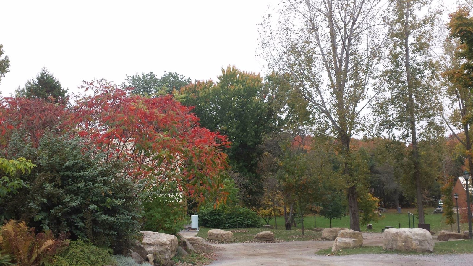 Vive les couleurs au bois de Belle-Rivière