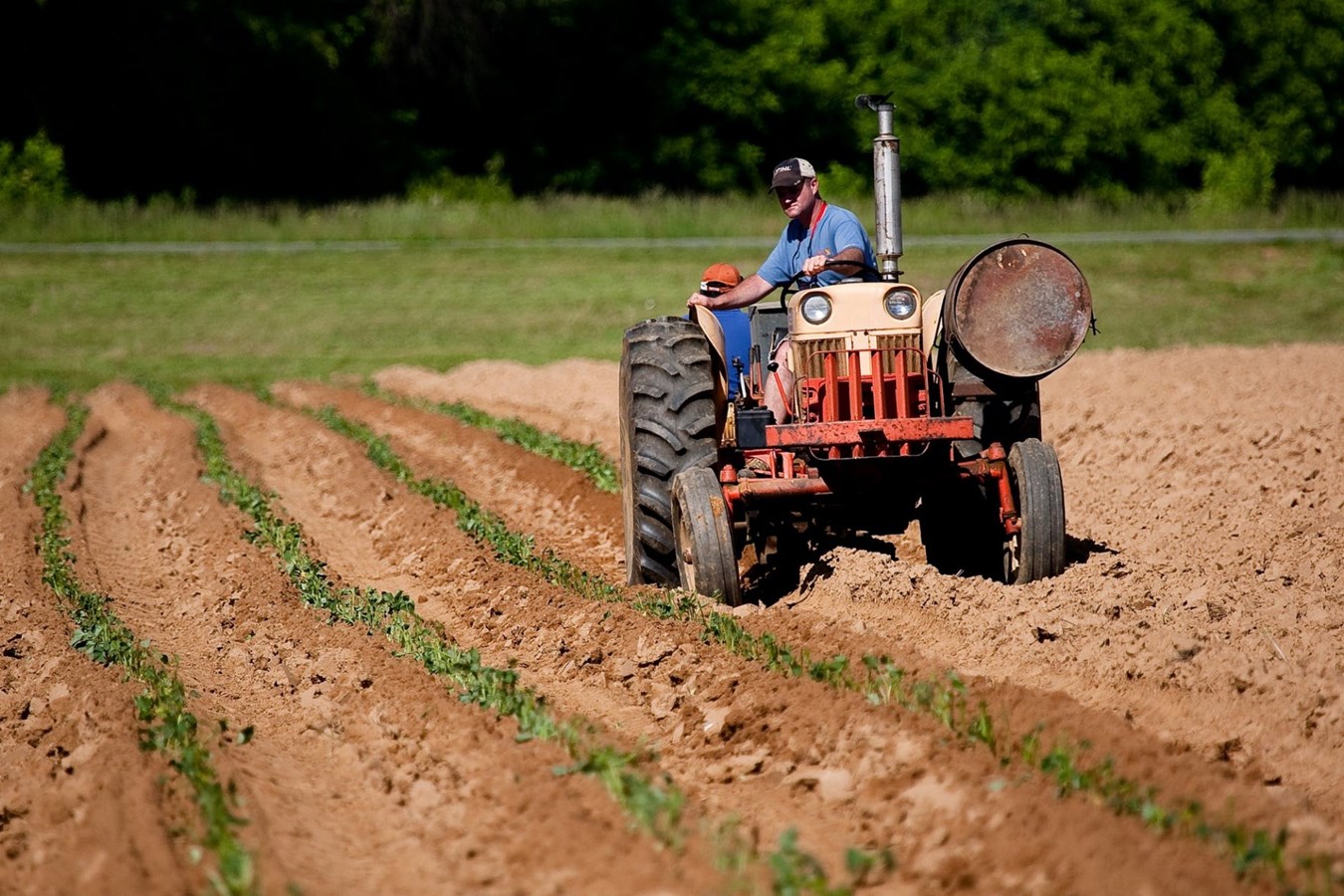 59 585 $ pour favoriser le contact entre les jeunes des Laurentides et l’agriculture
