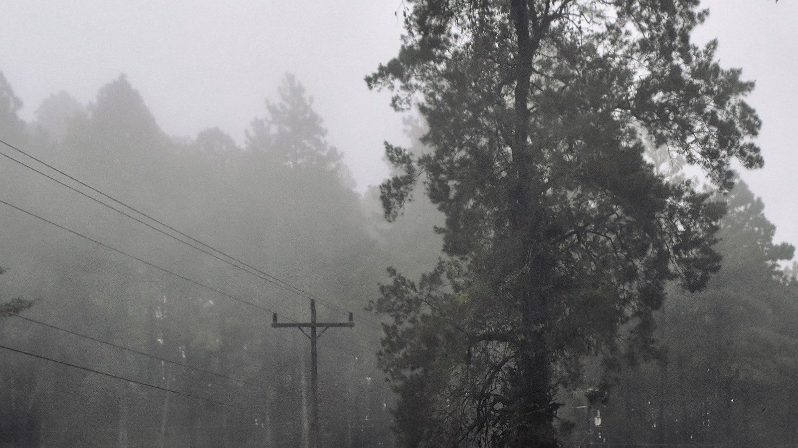 Un avertissement de smog plane sur les Laurentides