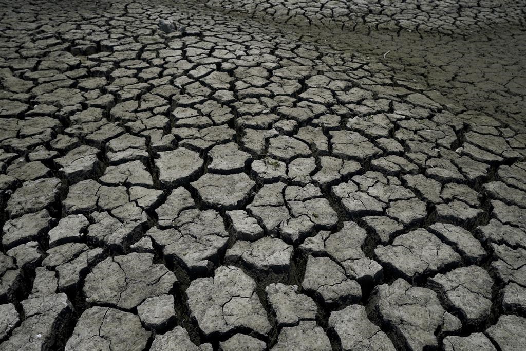 Une étude associe 58% des maladies infectieuses aux menaces climatiques
