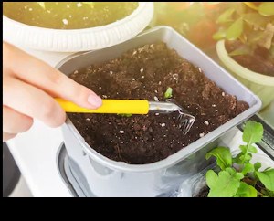 Une vente de compost en vrac est prévue ce samedi