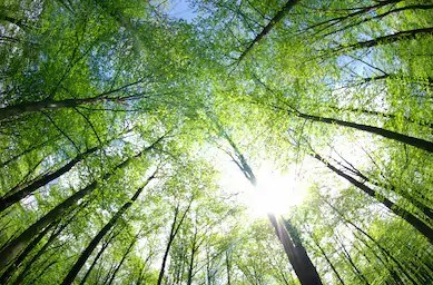 Le Salon des technologies environnementales du Québec est de retour à Québec