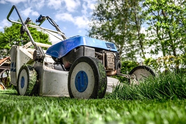 Producteurs de gazon : des contributeurs au bien-être des familles et de l'environnement