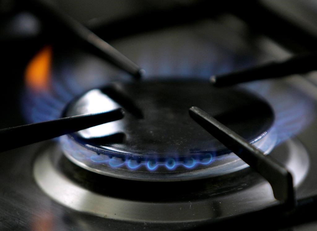 Cuisinières au gaz et asthme: il faut faire attention aux détails