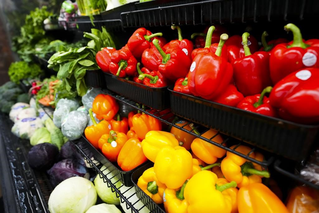La littératie agricole, un apprentissage de plus en plus nécessaire