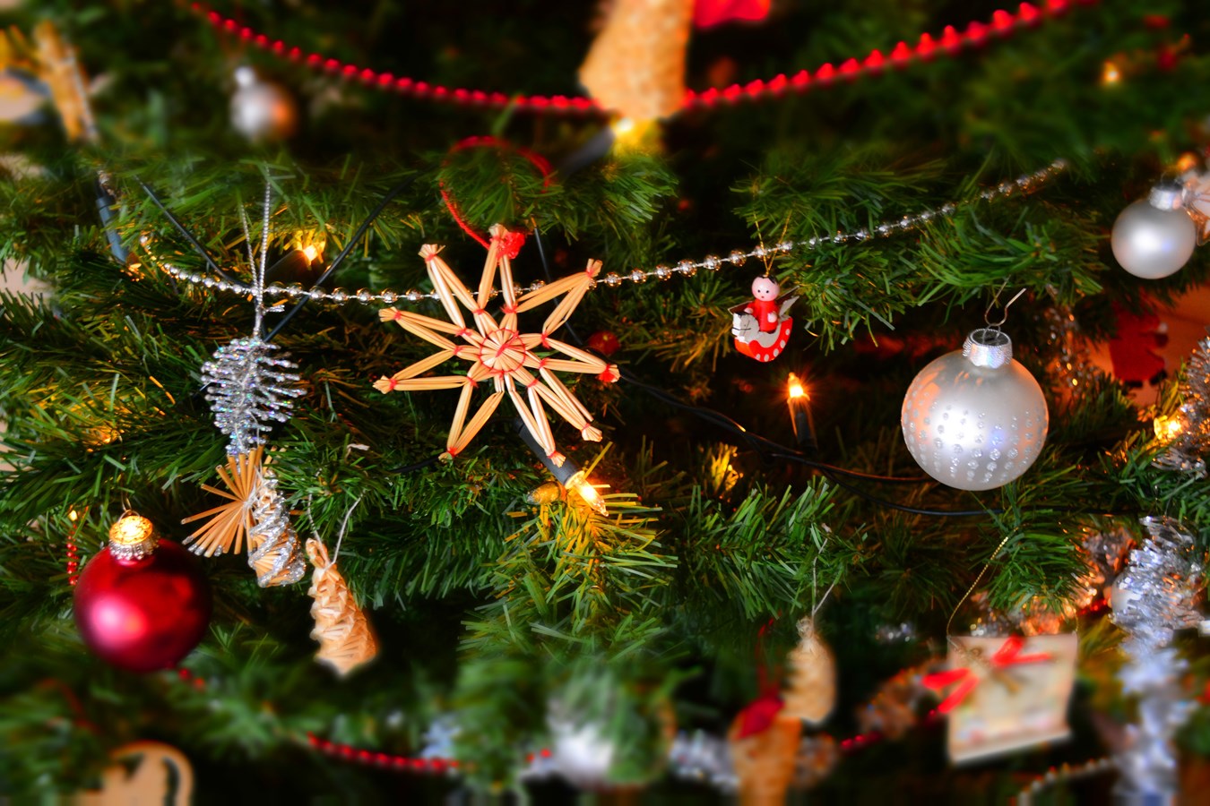 Mon beau sapin roi... des maisons québécoises