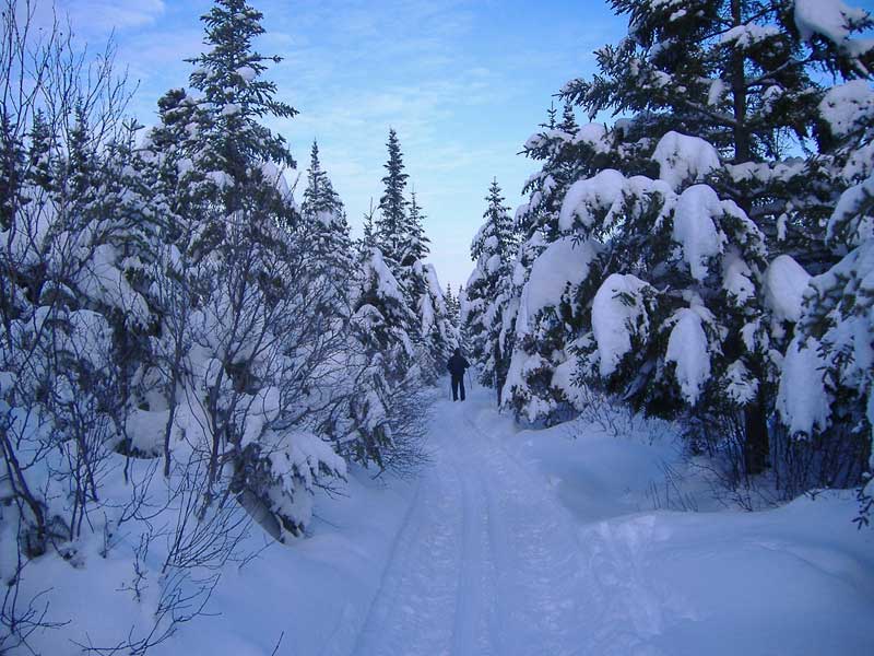 Fondeurs à vos skis!