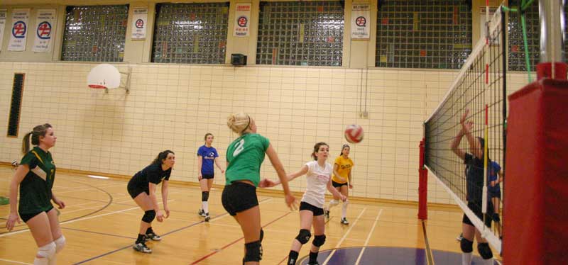 Volley-ball AAA : Les Condors féminins veulent causer la surprise