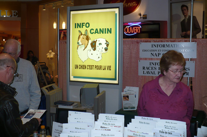 Le monde canin à l'honneur à l'occasion du Salon Info-Canin