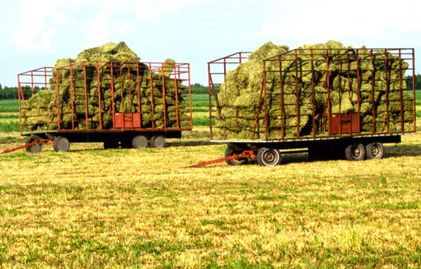 La Financière agricole a versé 23,6 M$  en 2009 aux producteurs de la région