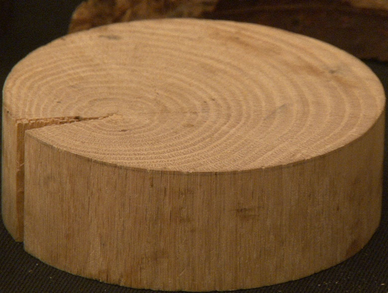 Un colloque pour mieux vendre l'utilisation du bois