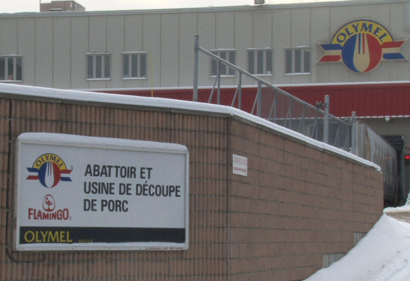 Les travailleurs d'Olymel en ont assez de ce climat de travail malsain