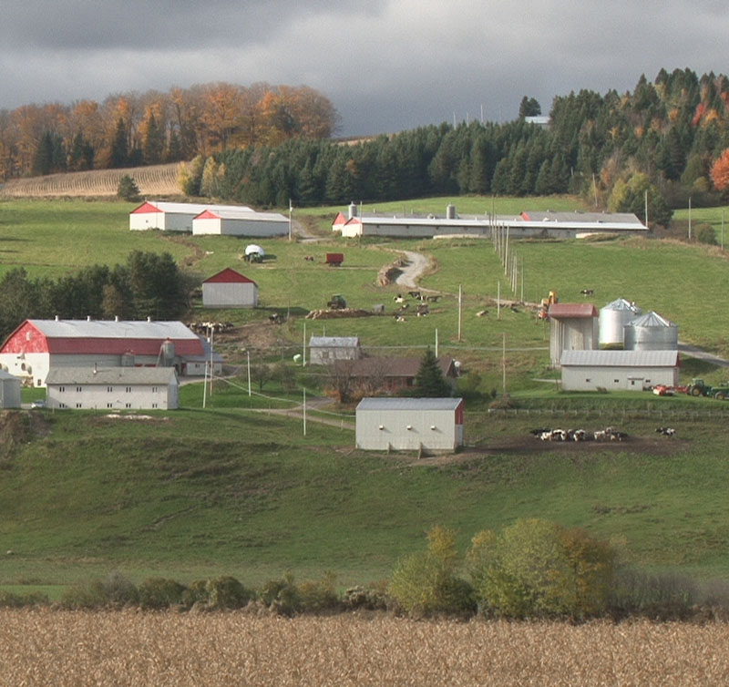 Financière agricole du Québec: L'année 2010 a été bonne pour les agriculteurs