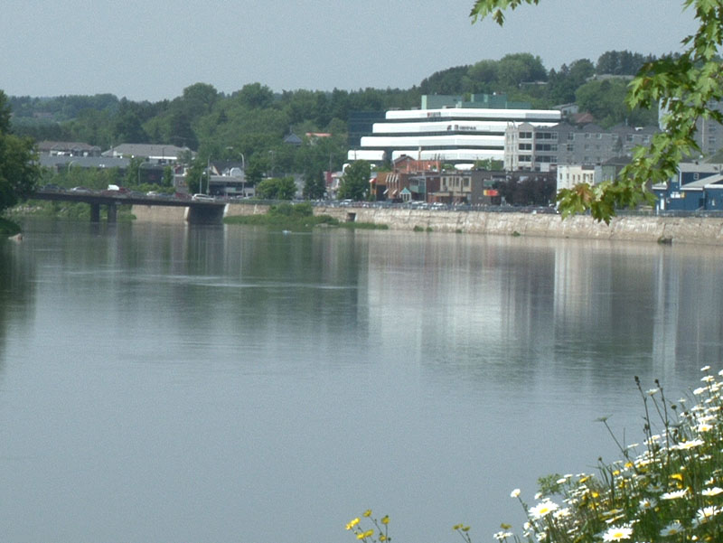 La Fondation Rues principales dévoile les résultats des sondages pour la revitalisation du centre-ville à Saint-Georges