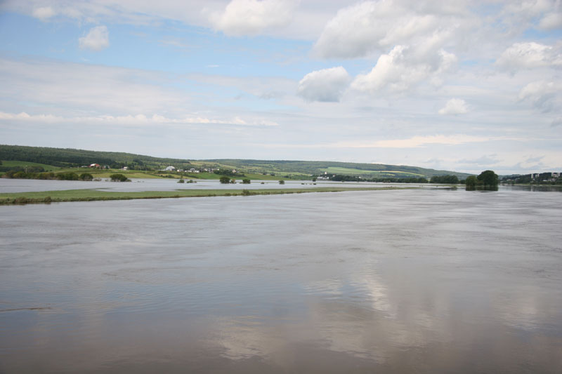 Une aide de 60 000 $ pour cartographier les milieux humides de la Chaudière-Appalaches et du Centre-du-Québec