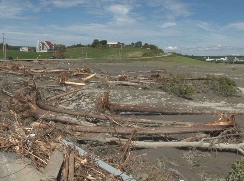 La Financière agricole a reçu plusieurs dizaines de demandes d'aide financière des agriculteurs de la Beauce