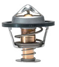 Pourquoi doit-on remplacer le thermostat ?