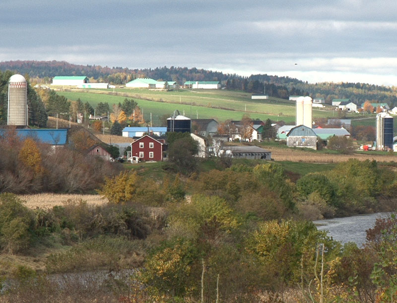 L'UPA de la Beauce et les MRC du territoire veulent se doter d'un plan de développement agricole
