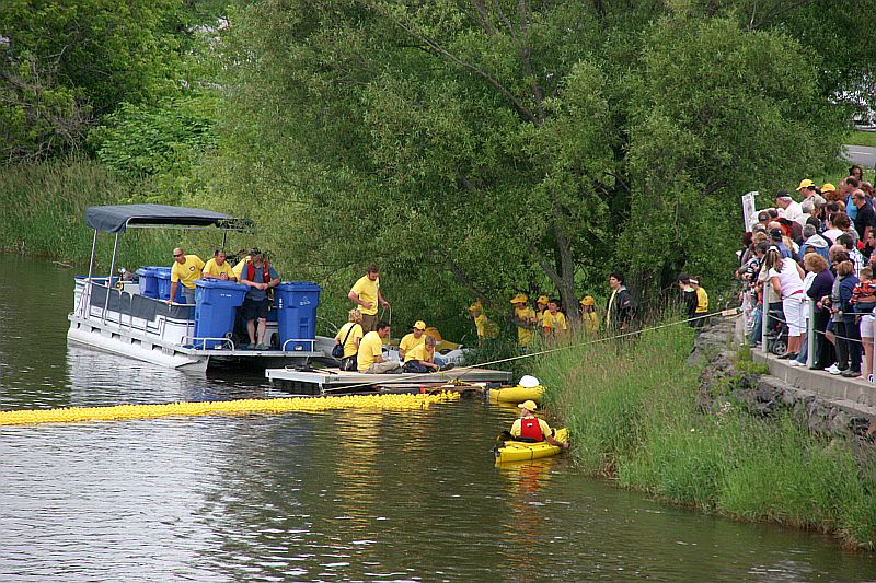 La Grande course des petits canards sera de retour sur la Chaudière