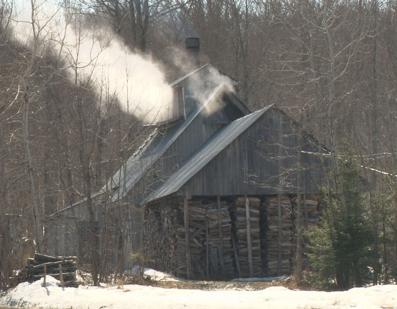 Le printemps hâtif aura des impacts sur certaines productions dont le sirop d'érable