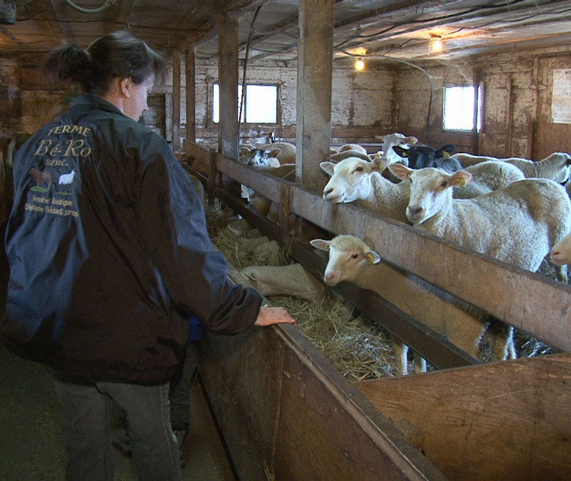 Saint-Gédéon: Les gaz de schiste sont un frein au développement de certaines entreprises