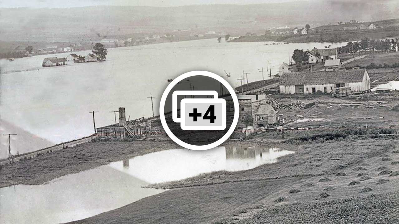 THOMAS DÉMÉNAGE SUR LES HAUTEURS