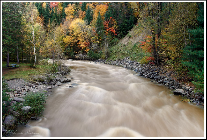 Cette rivière qui rugit sous mes pieds