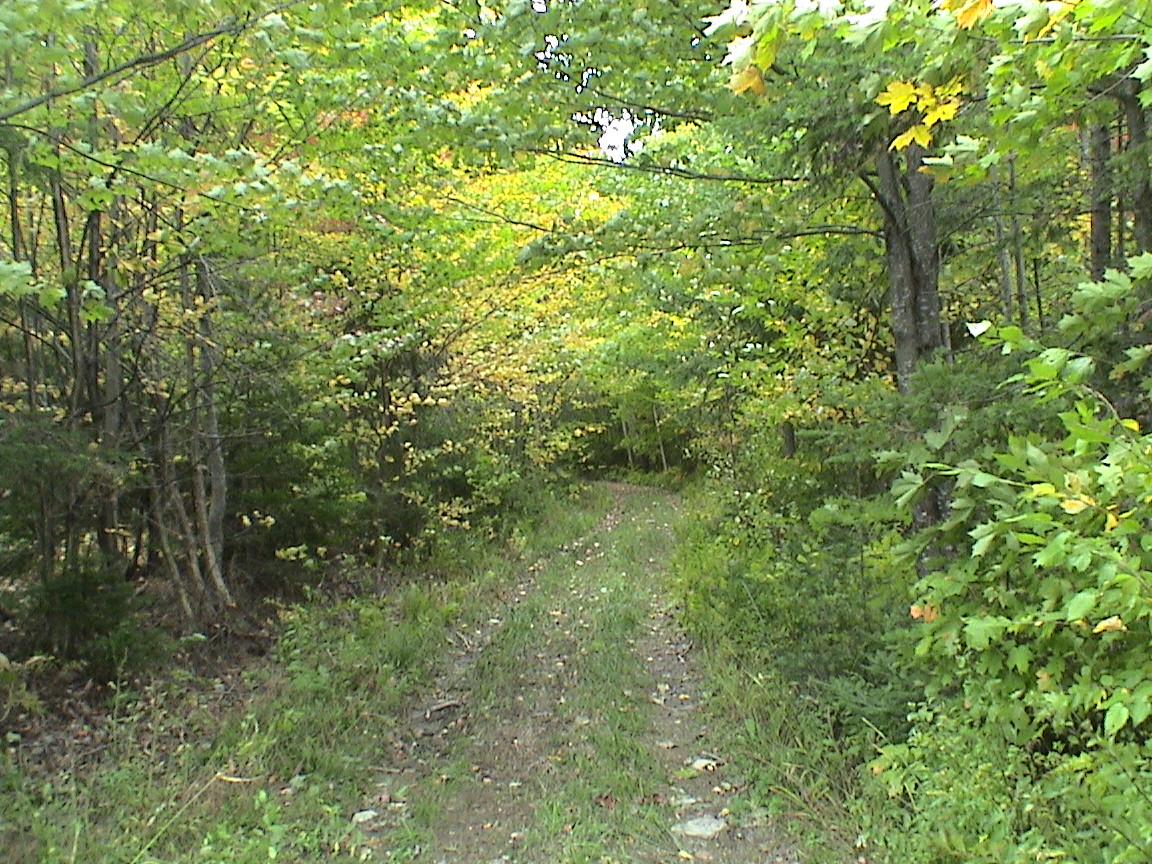 Chemins oubliés ( suite )