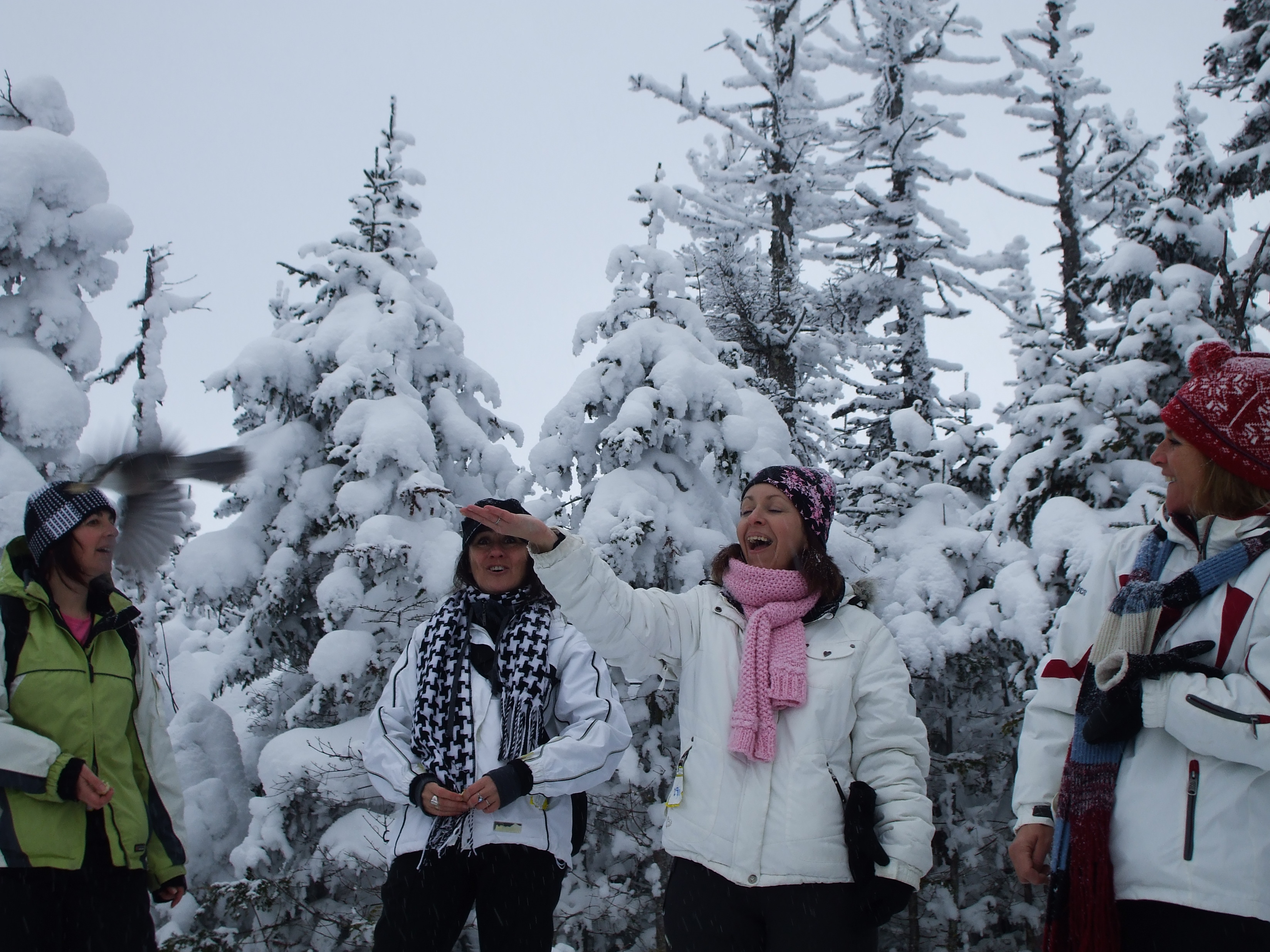 En raquette au Mont Mégantic