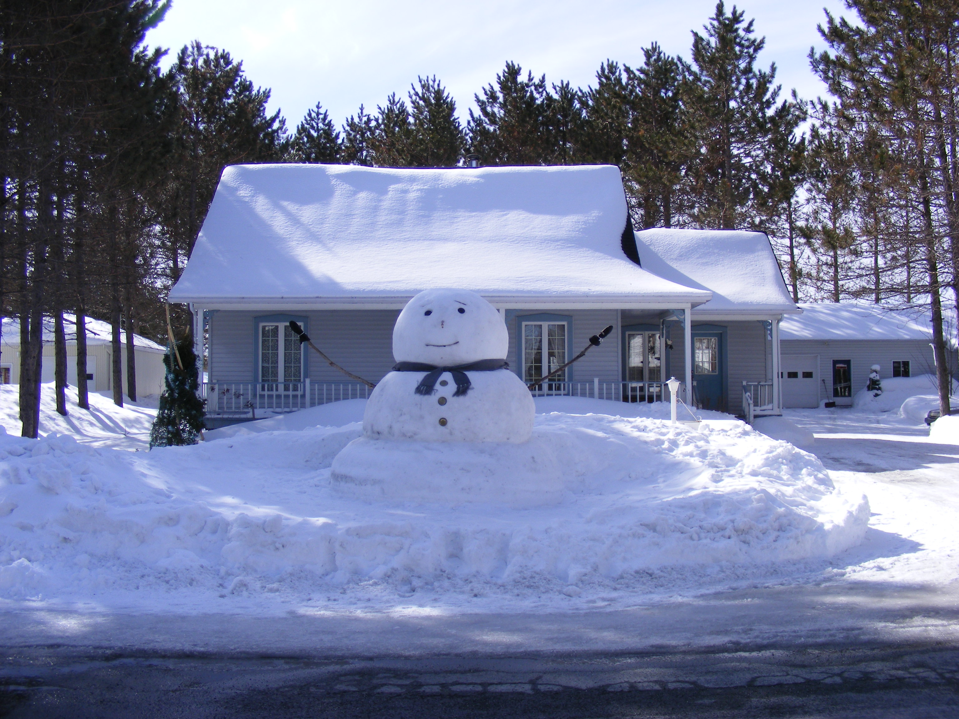 nouveau bonhomme carnaval