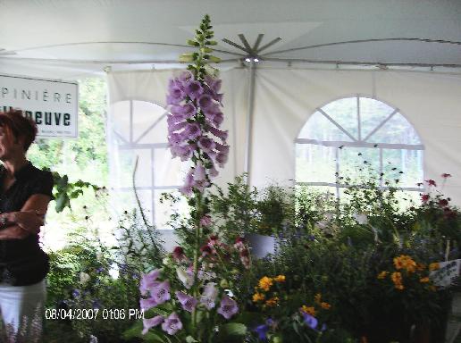 Expo Horticole à l'Auberge Arnold