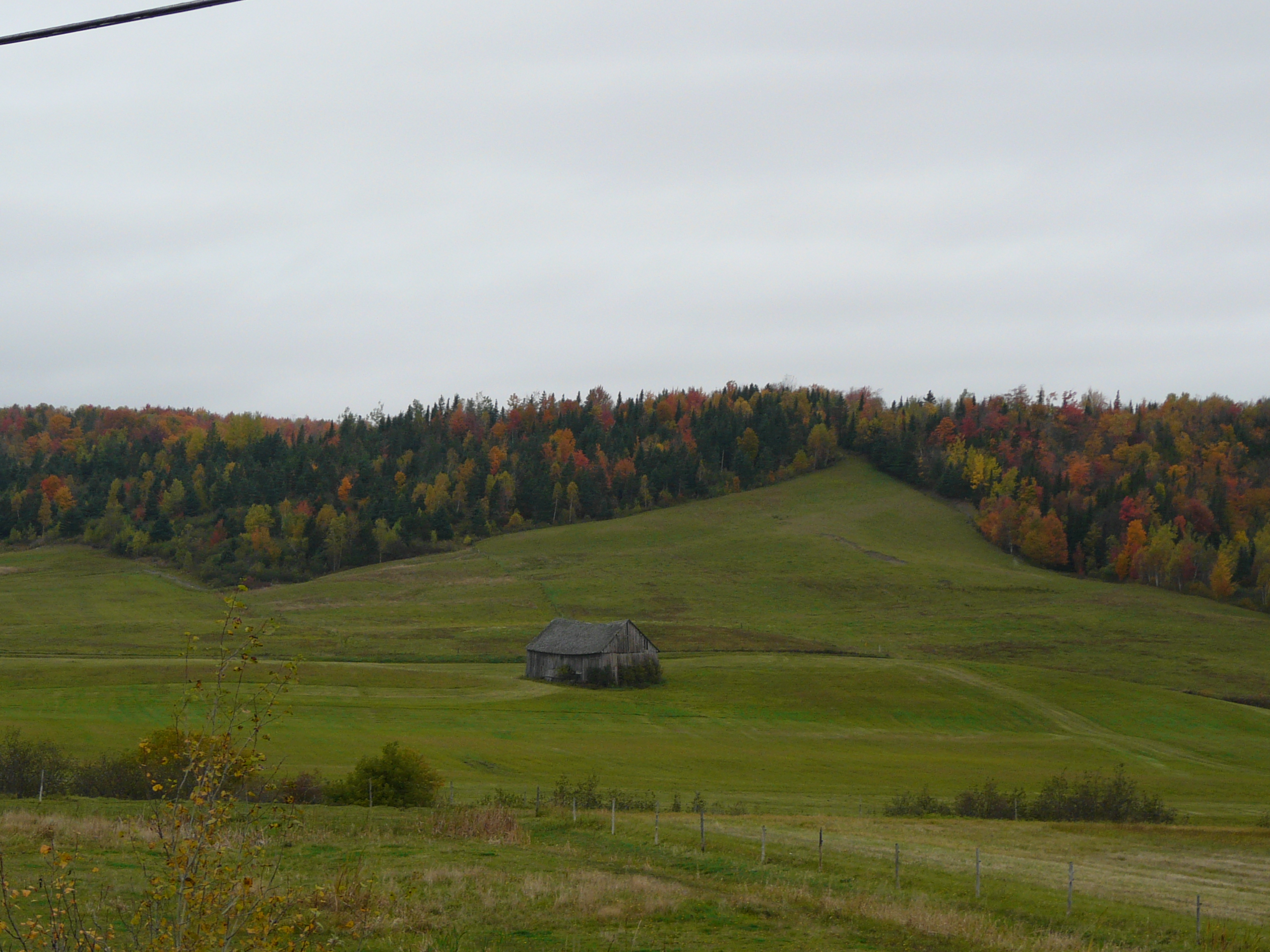 Sur la route de Lac Drolet