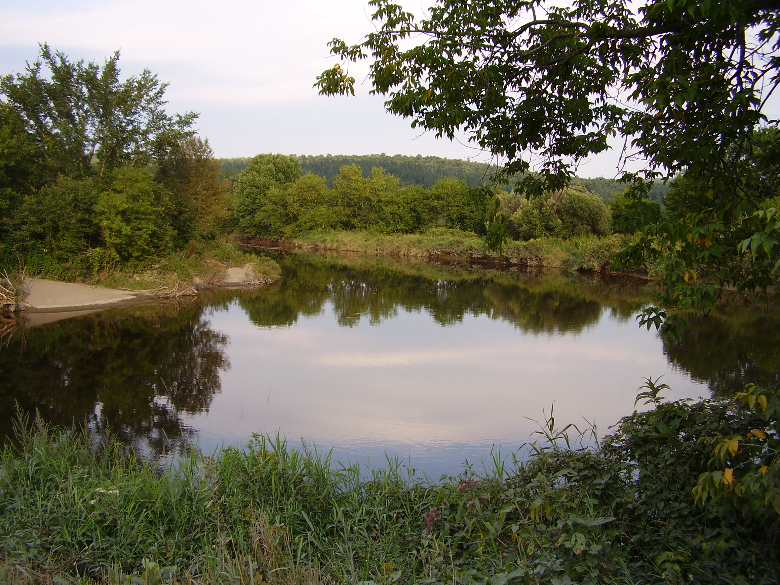 Riviere le Bras à St-Victor