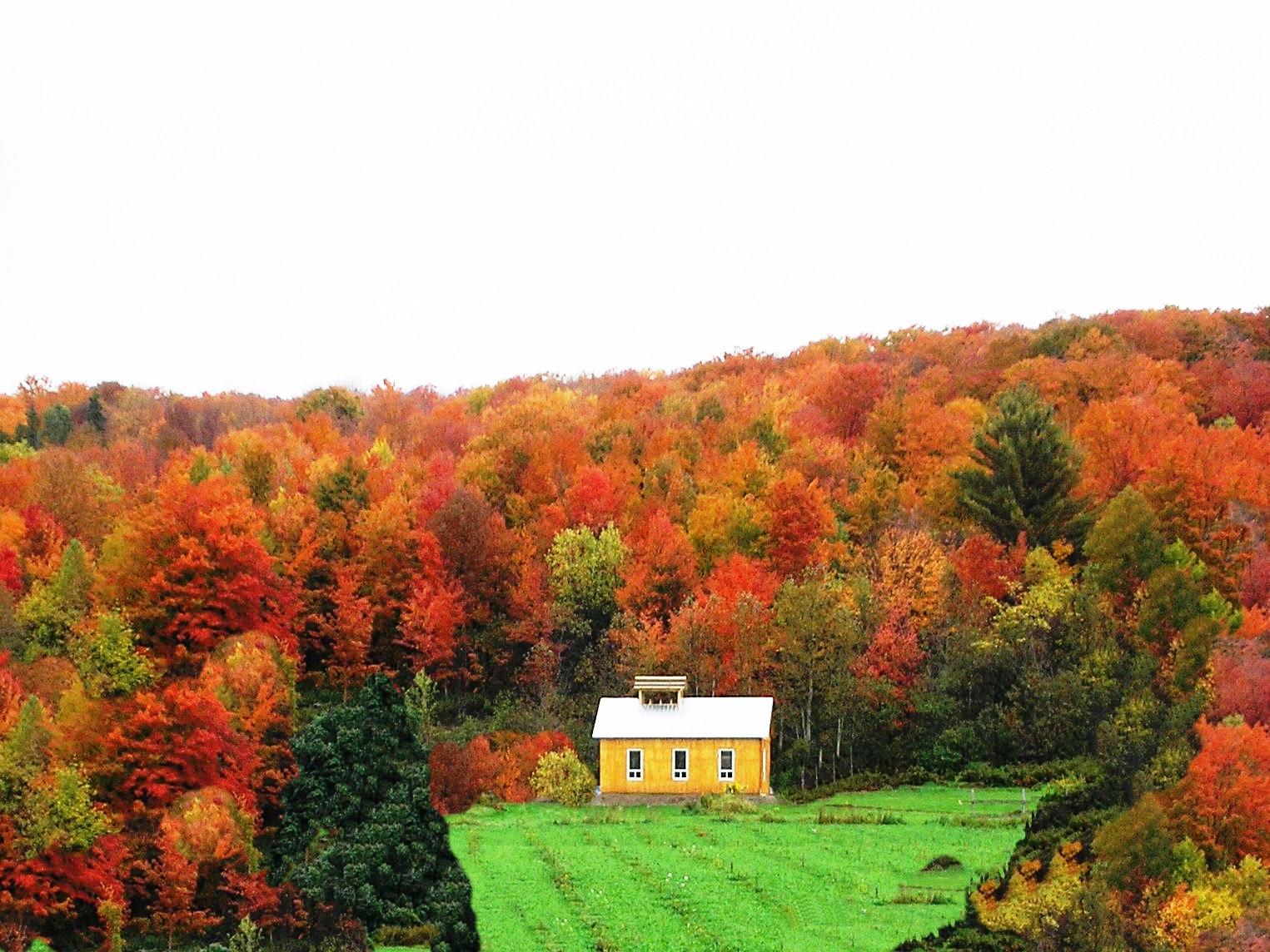 Cabane à sucre en automne