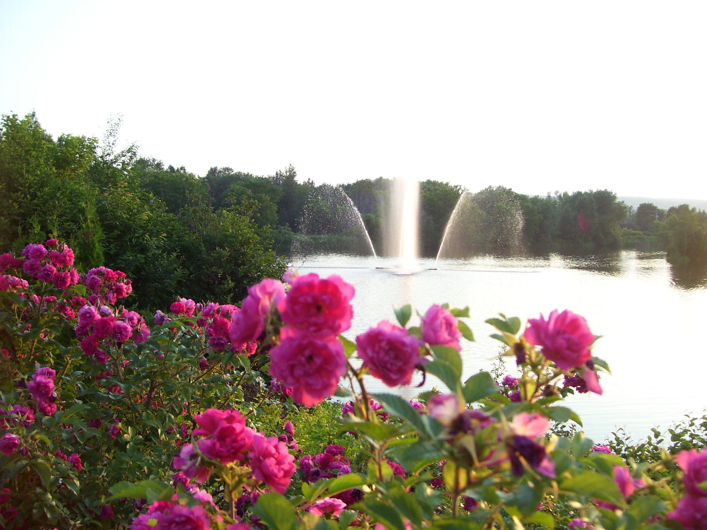 Fontaine à l'île Pozer