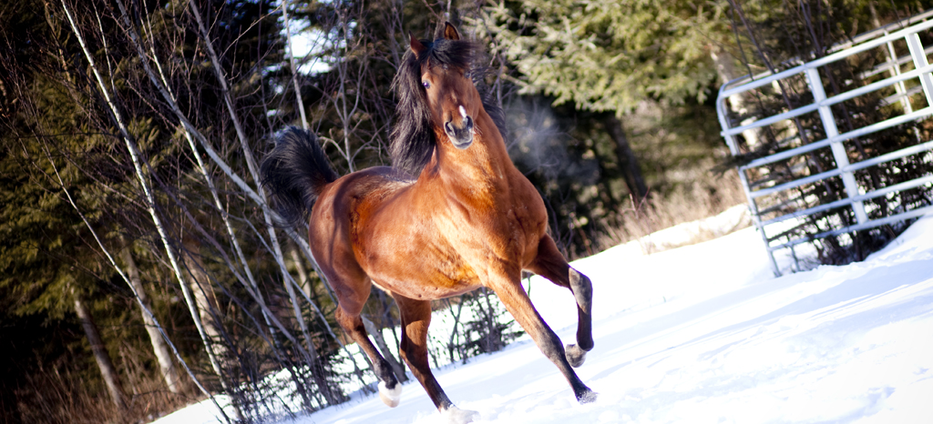 Libre  à Saint-Simon les Mines