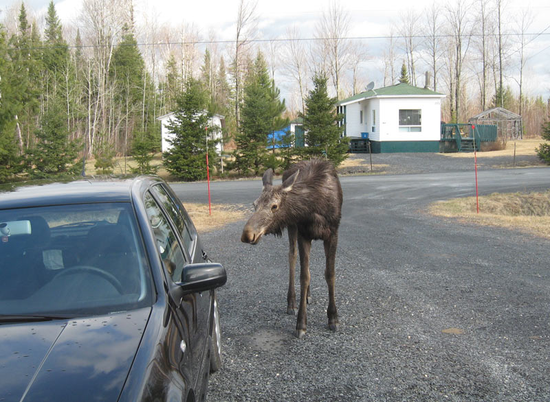 De la visite chez moi