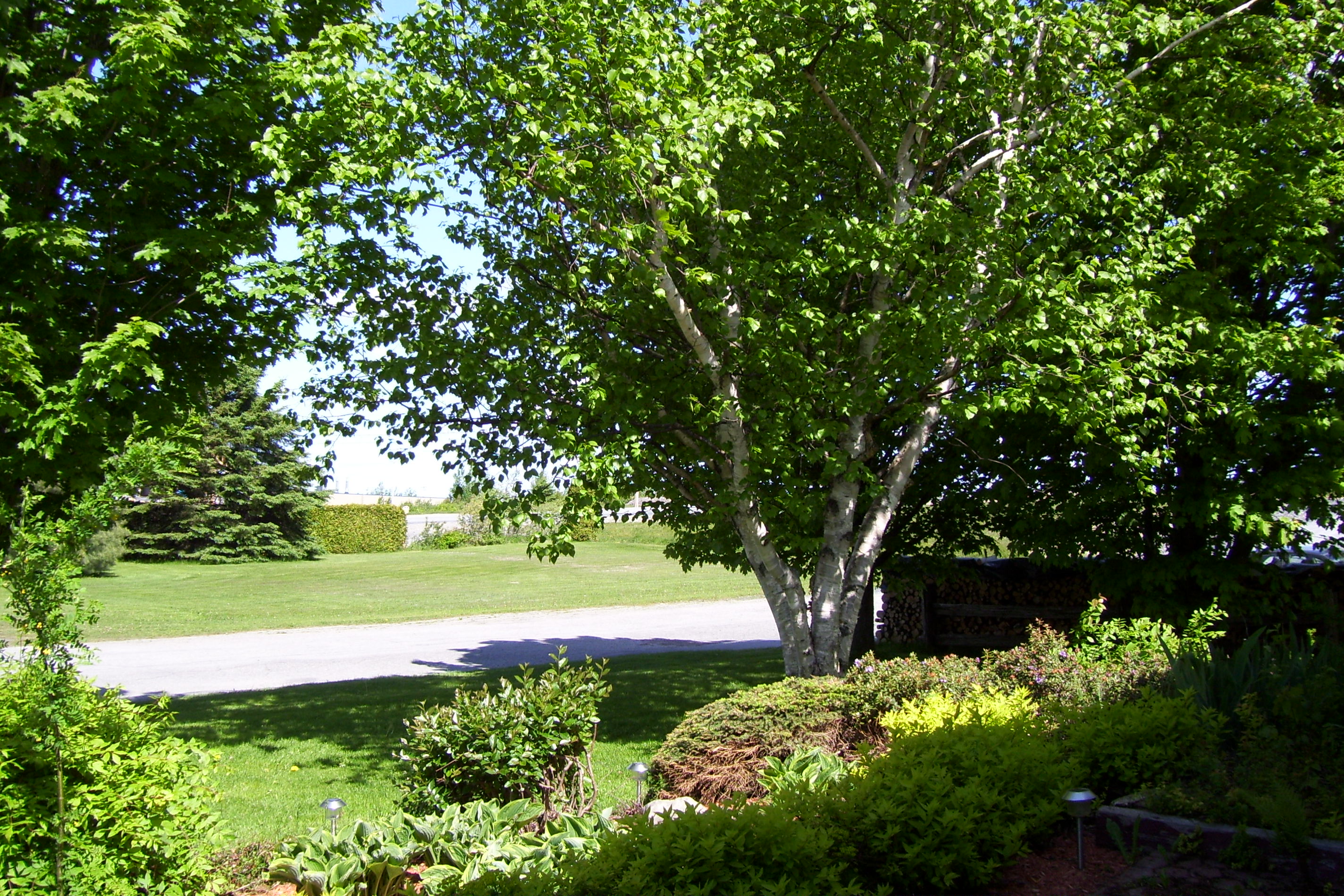 nature au soleil levant