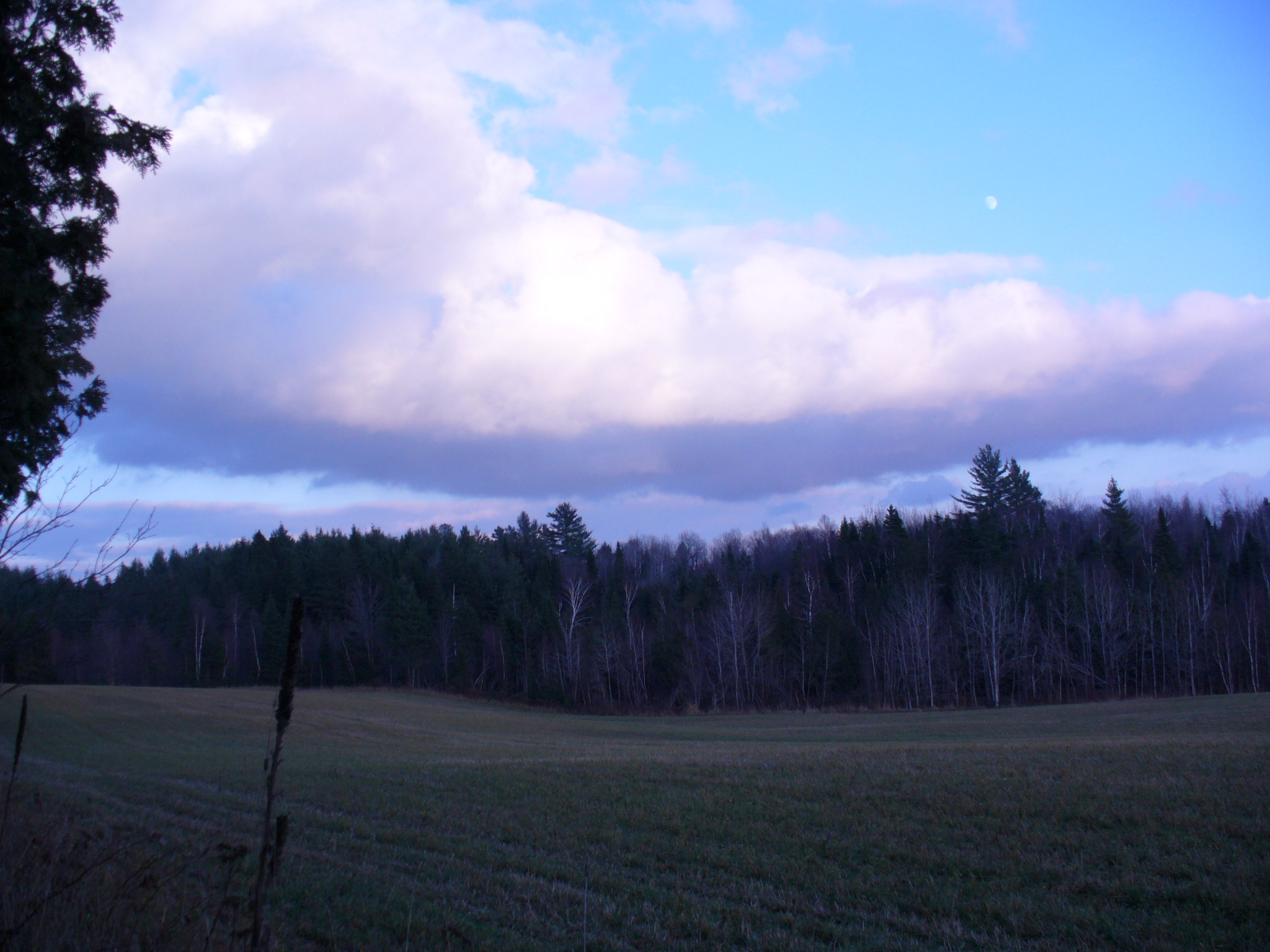 Paysage automnal et nostalgique